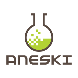 Aneski Logo